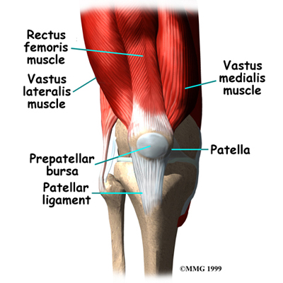 Physical Therapy in Glendale for Knee Pain - Prepatellar Bursitis